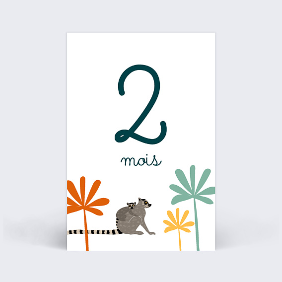 Carte étape bébé Dans la Jungle Carte 3