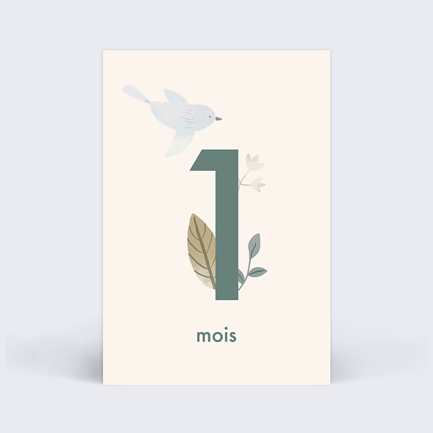Carte Étape Bébé Magnolia Carte 2