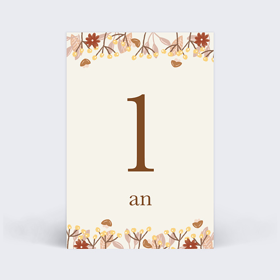 Carte étape bébé Renardeau Carte 6