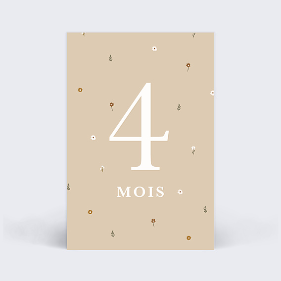 Carte Étape Bébé Liberty