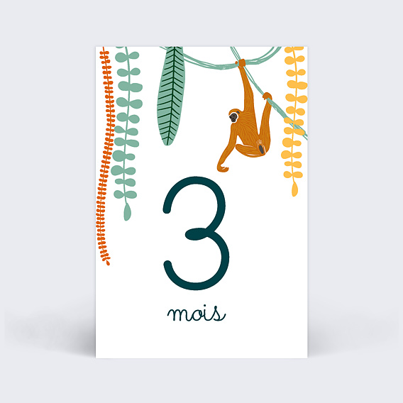 Carte Étape Bébé Dans la Jungle