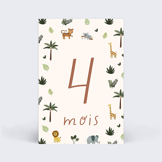 Carte étape bébé Safari Carte 5
