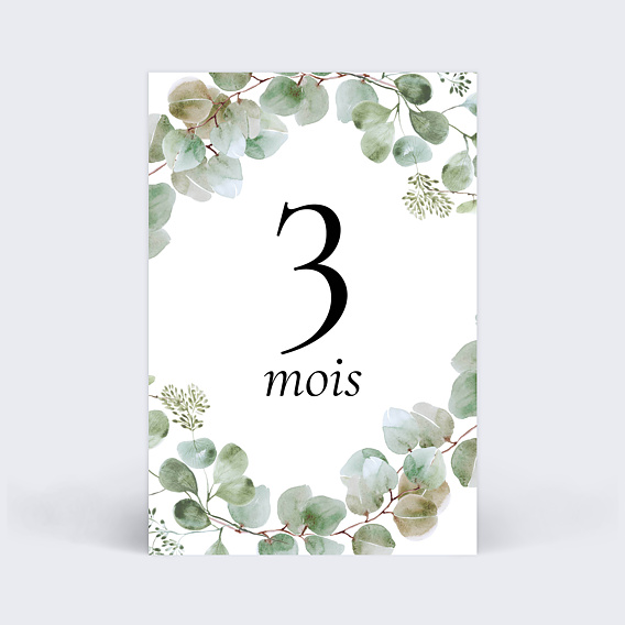 Carte étape bébé Eucalyptus Carte 4