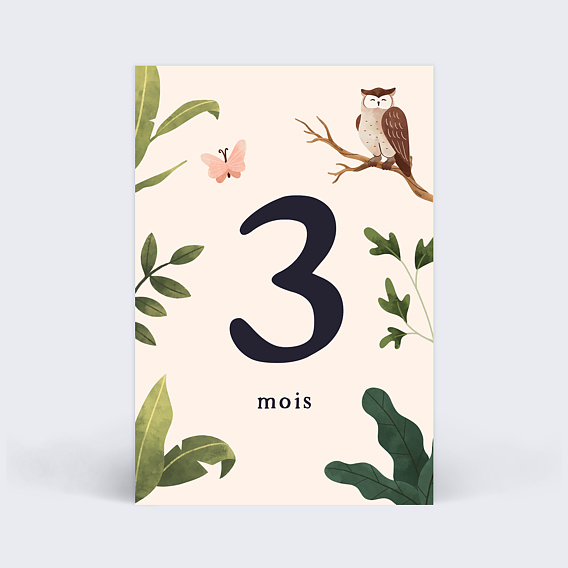 Carte étape bébé Genèse Carte 4