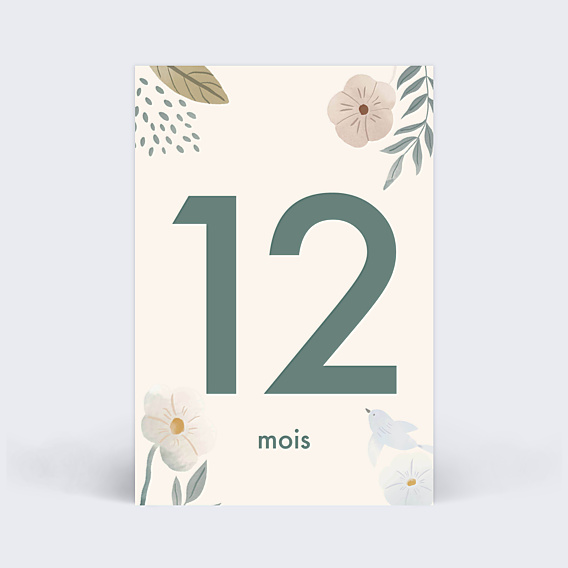 Carte Étape Bébé Magnolia