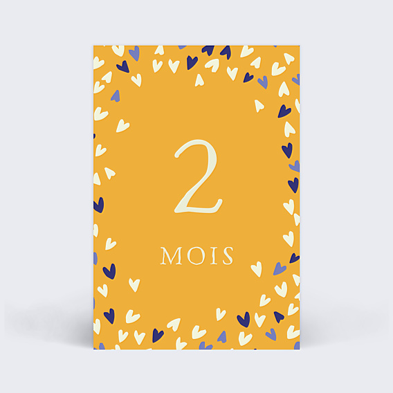 Carte Étape Bébé Ma Première Année