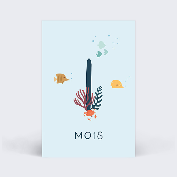 Carte Étape Bébé Océan