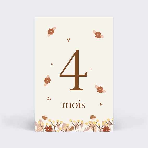 Carte Étape Bébé Renardeau