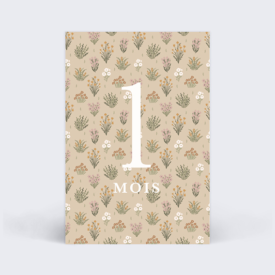 Carte étape bébé Liberty Carte 2