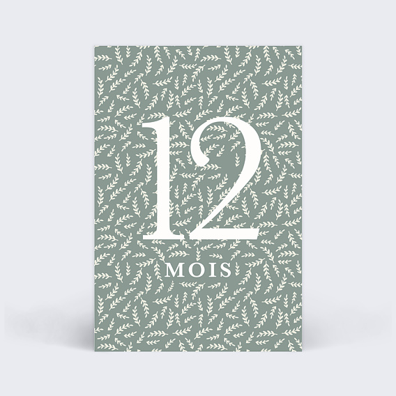 Carte étape bébé Liberty Carte 6