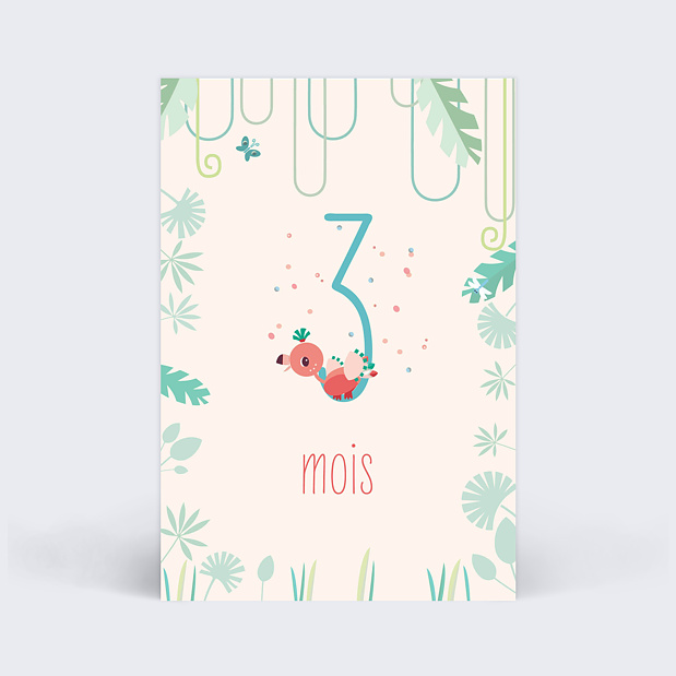 Cartes Étapes Bébé Lilliputiens x Popcarte Carte 4