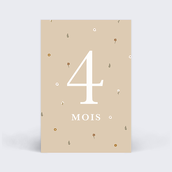 Carte étape bébé Liberty Carte 5