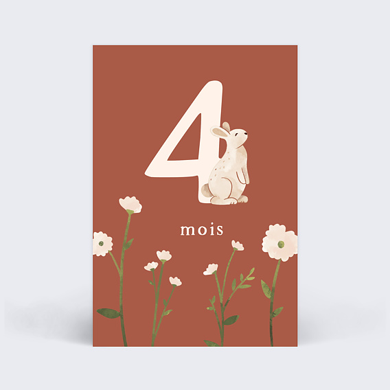 Carte étape bébé Genèse Carte 5