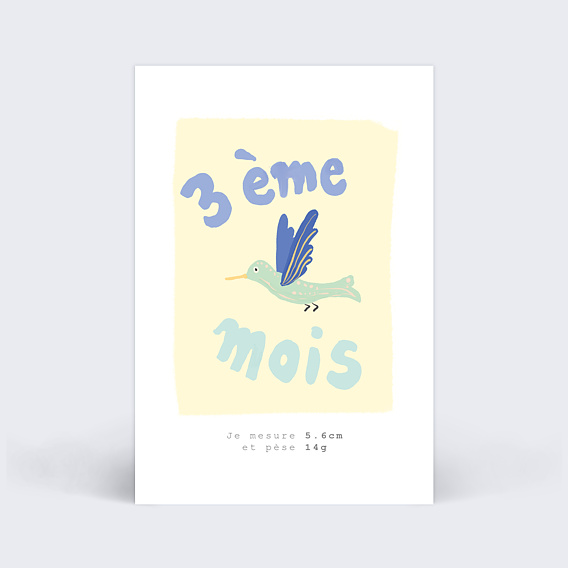 Carte étape bébé Grossesse animaux Carte 3