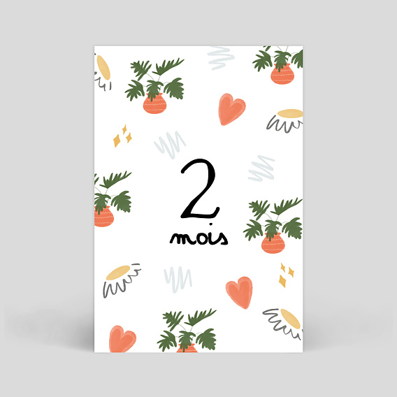 Carte étape bébé Grossesse Pack Coloré Carte 3