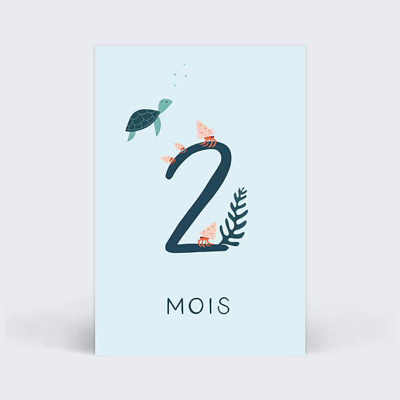 Carte étape bébé Océan Carte 3