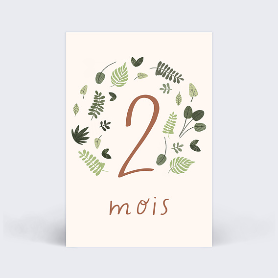 Carte étape bébé Safari Carte 3