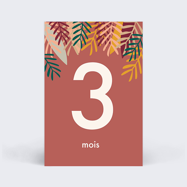 Carte Étape Bébé Petite Fleur Carte 4