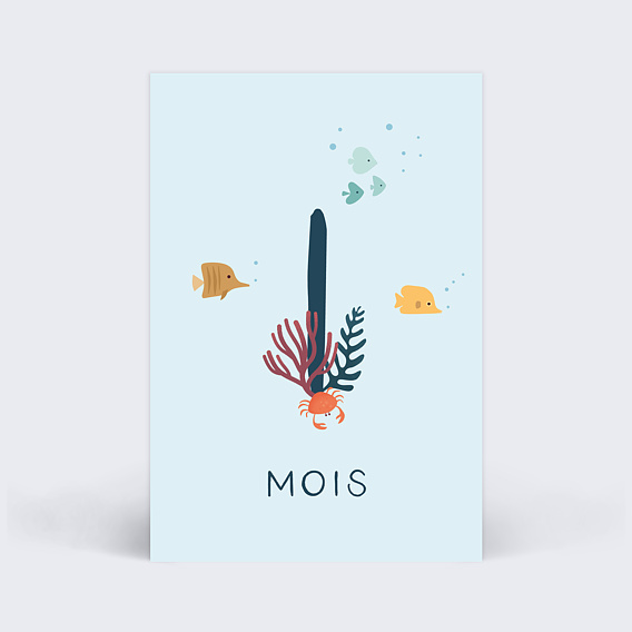 Carte étape bébé Océan Carte 2