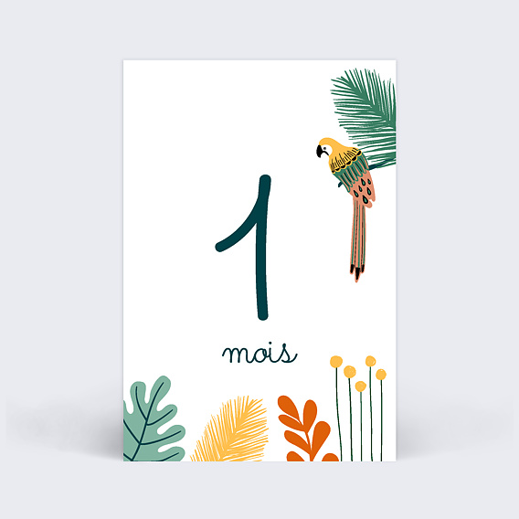 Carte Étape Bébé Dans la Jungle