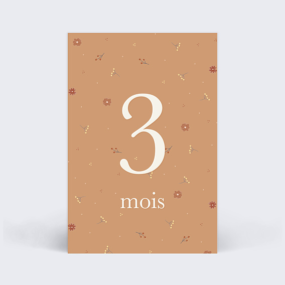 Carte Étape Bébé Renardeau