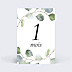 Carte Étape Bébé Eucalyptus