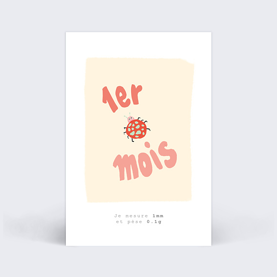 Carte étape bébé Grossesse animaux Carte 1