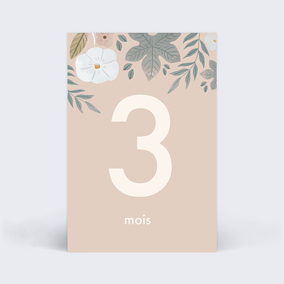 Carte Étape Bébé Grossesse Printanière