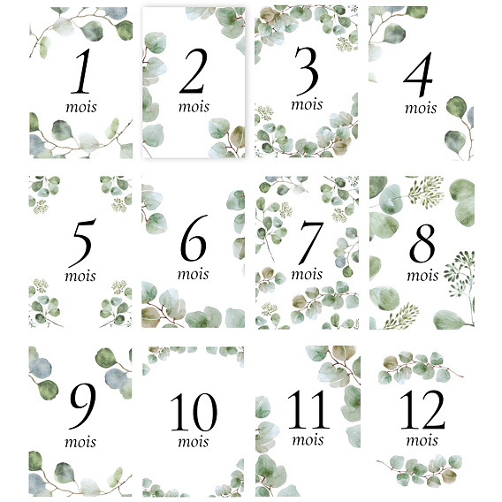 Carte étape bébé Eucalyptus Après 4