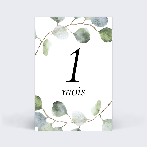 Carte Étape Bébé Eucalyptus