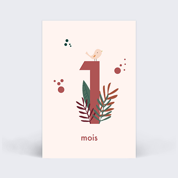 Carte Étape Bébé Maternité