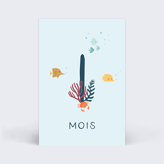 Carte Étape Bébé Océan de Bonheur