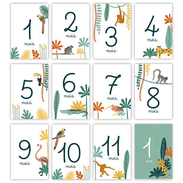Cartes Étapes Bébé Dans la Jungle