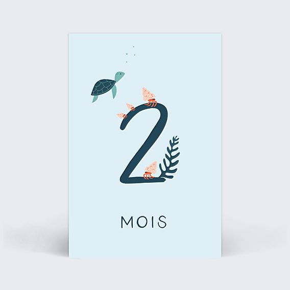 Carte Étape Bébé Océan