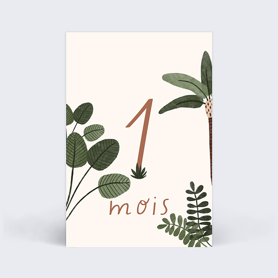 Carte étape bébé Safari Carte 2