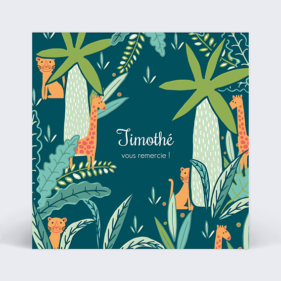 Remerciements Baptême Animaux colorés