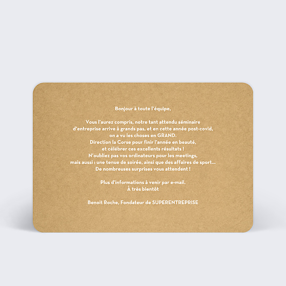 Invitation Professionnelle Boarding Pass