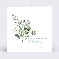 Herbarium