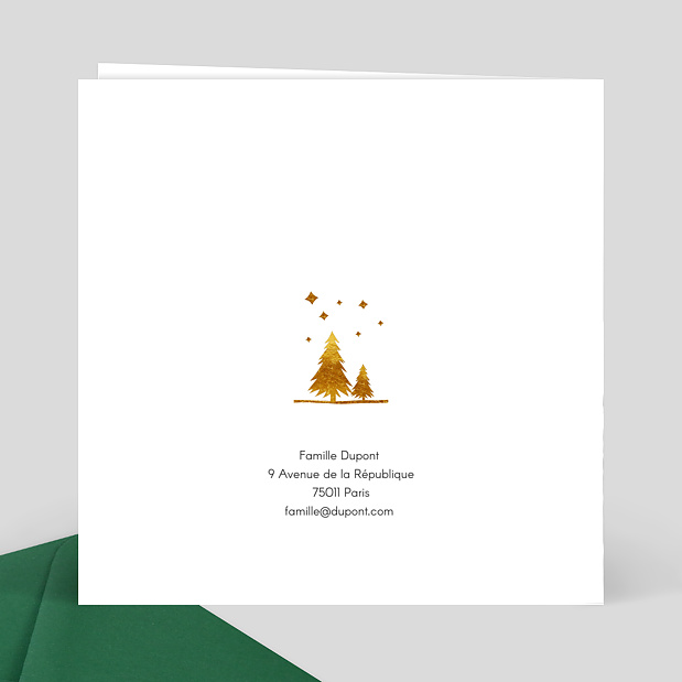 Carte de Noël Cadre Photos Sapins Verso