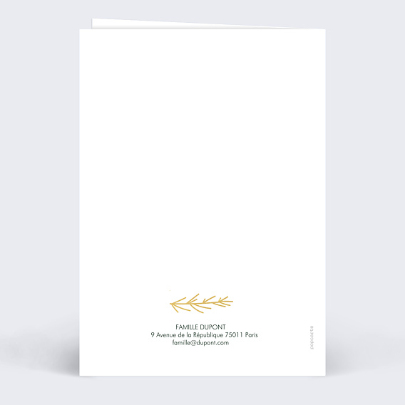 Carte de Noël  Cadre Végétal Ocre  Verso