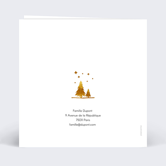 Carte de Noël Cadre Photos Sapins Verso