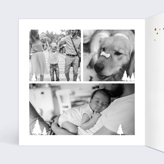 Carte de Noël  Cadre Photos Sapins Intérieur Gauche