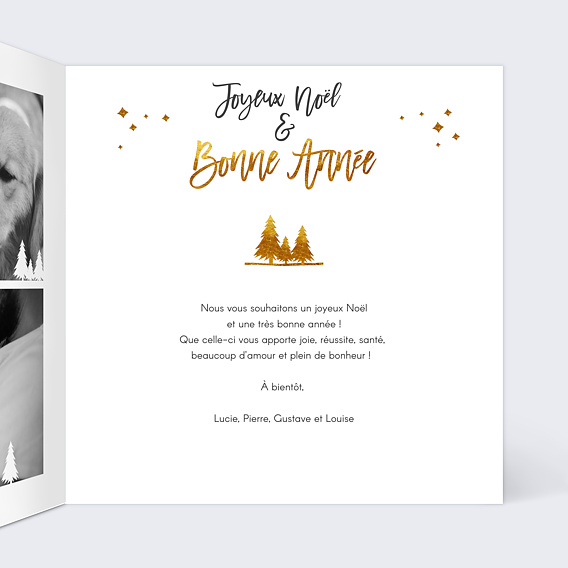 Carte de Noël Cadre Photos Sapins Intérieur Droit