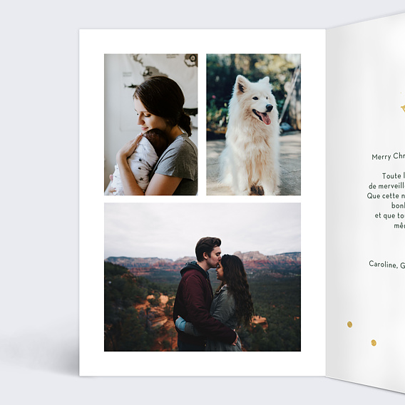 Carte de Noël  Cadre Végétal Ocre  Intérieur Gauche