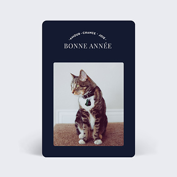 Carte de Nol Jolis souhaits
