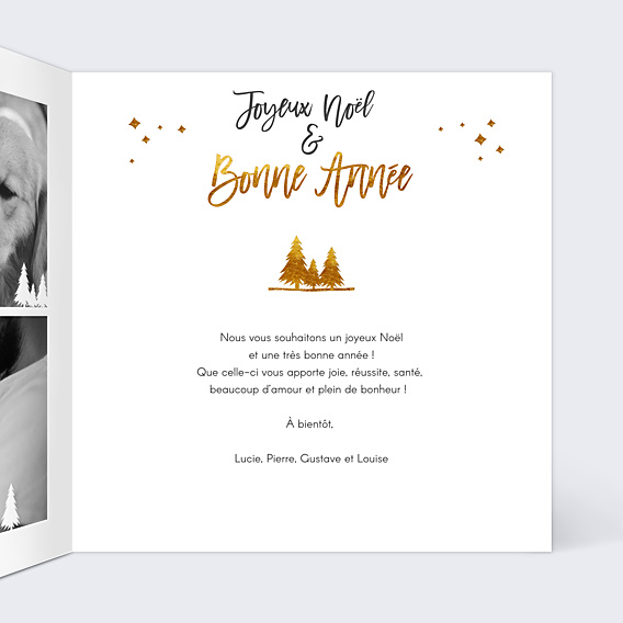 Carte de Noël Cadre Photos Sapins