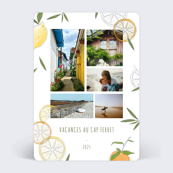Carte postale Agrumes