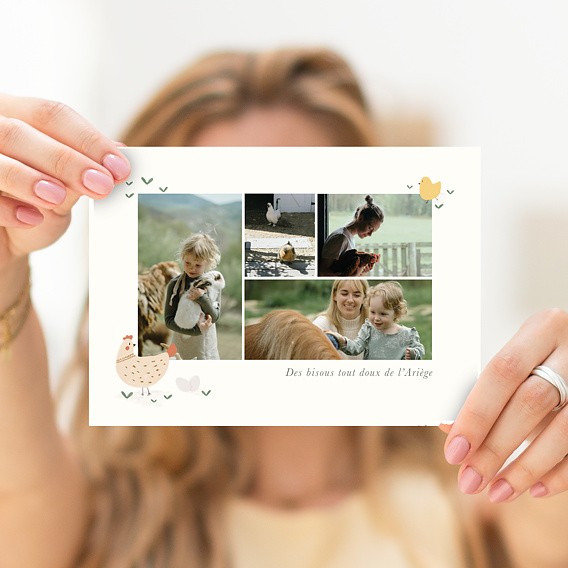 Carte postale Animaux Campagne