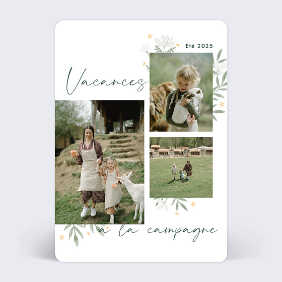 Carte postale Campagne Fleurie