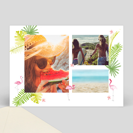 Carte Postale Exotique